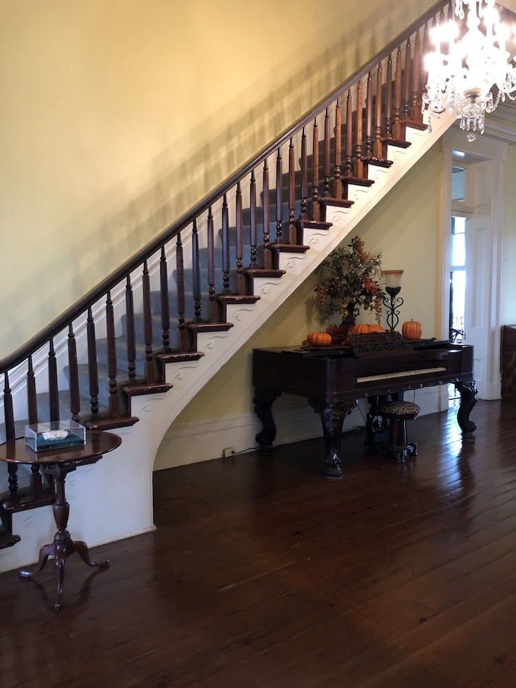 Loyd Hall Plantation - photo 36