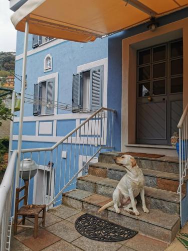 Itaca — hotel in Varazze