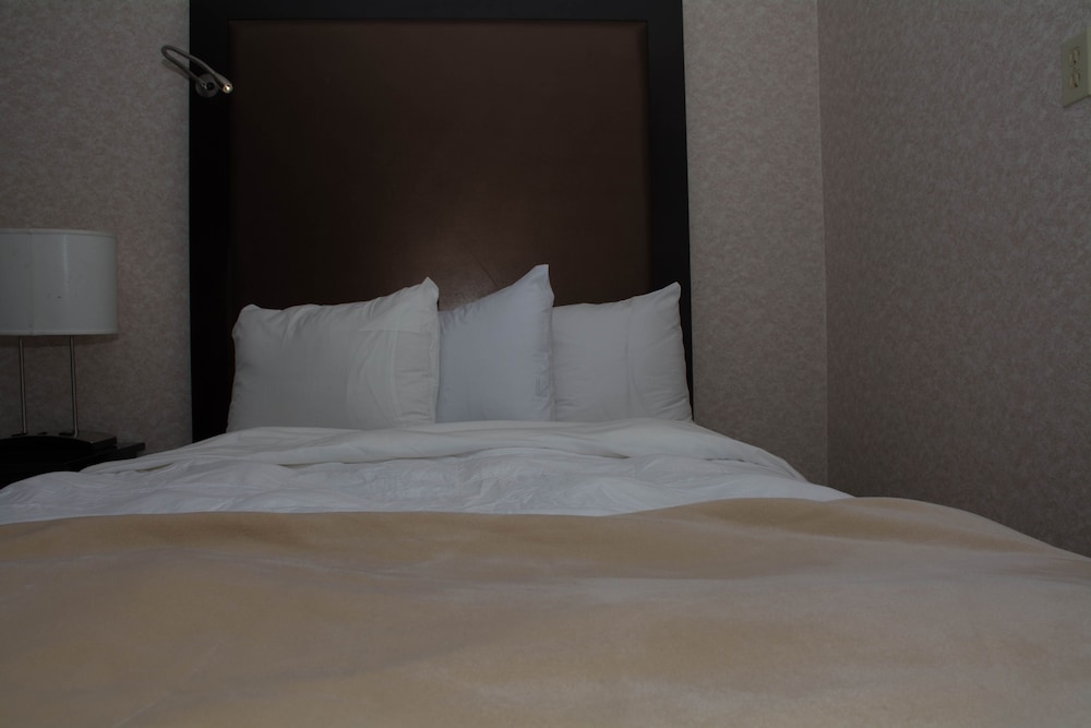 Atlantic Inn & Suites - photo 7