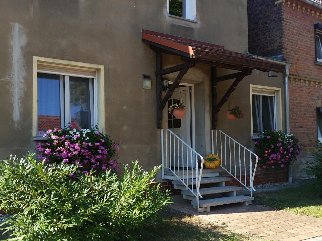 Ferienwohnung Rampitz — Leuna — photo 4