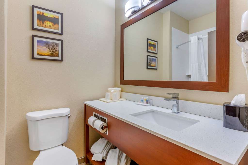 Comfort Inn Rockford near Casino District - photo 30
