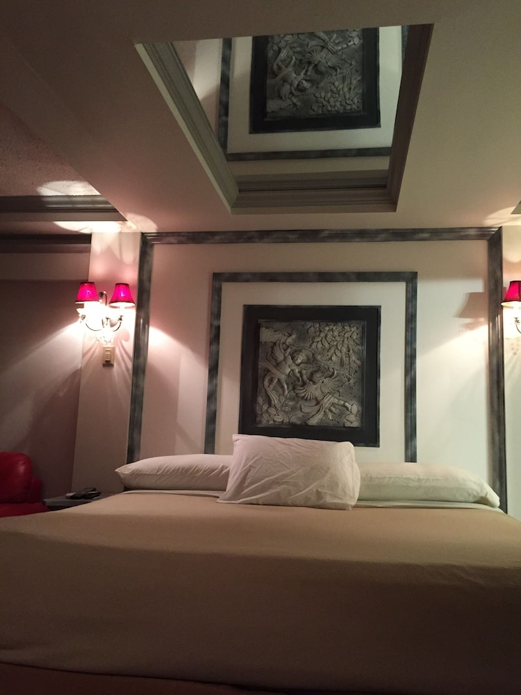 Wildwood Inn Tropical Dome & Theme Suites - photo 4