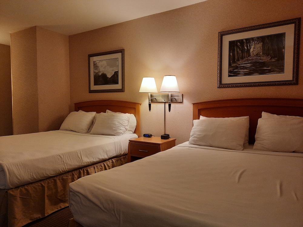 RiverTree Inn & Suites - photo 11