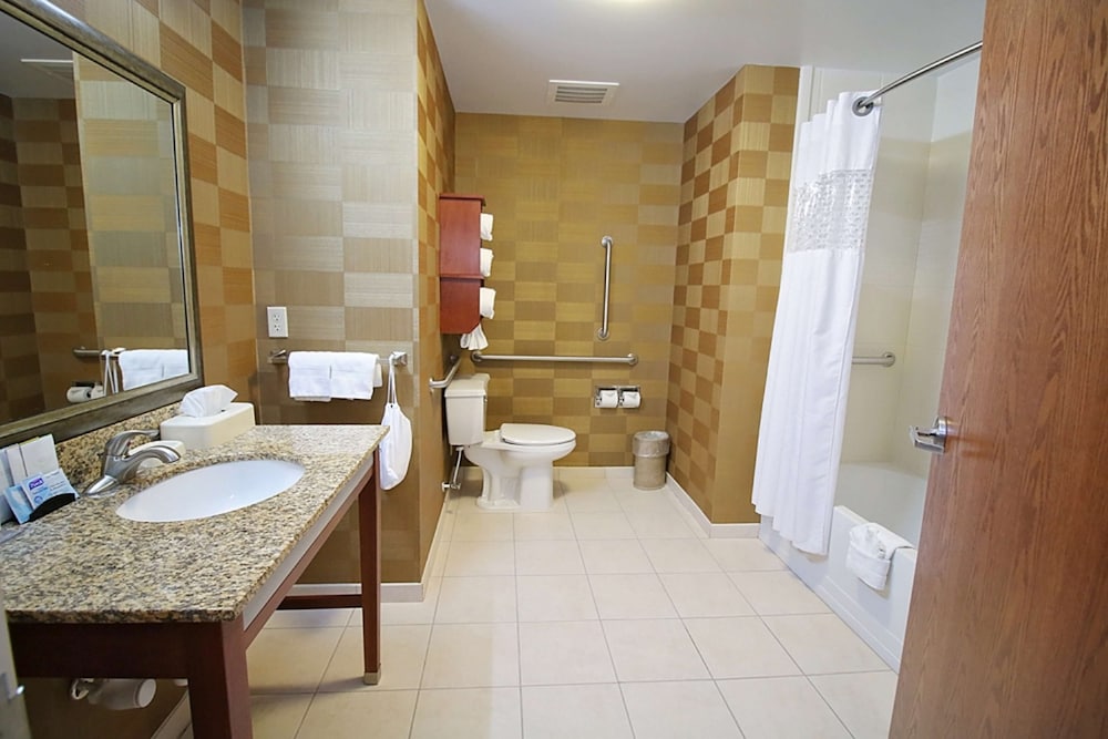 Hampton Inn Detroit Auburn Hills North - photo 34