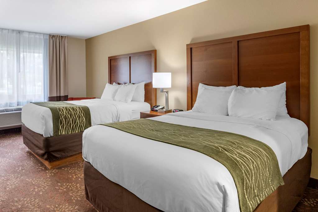 Comfort Inn Okemos East Lansing - photo 14