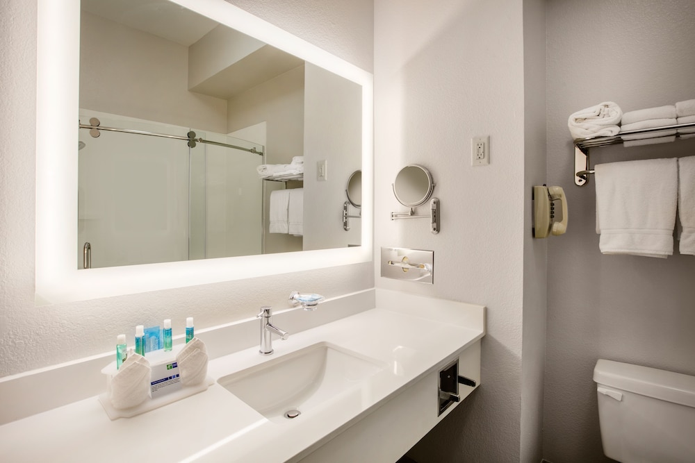 Holiday Inn Express Hotel & Suites Dallas Grand Prairie I 20 by IHG - photo 19