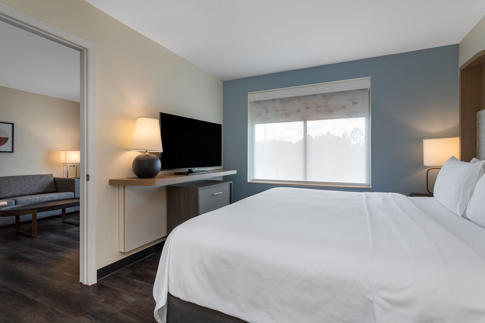 Holiday Inn Tampa North - photo 3