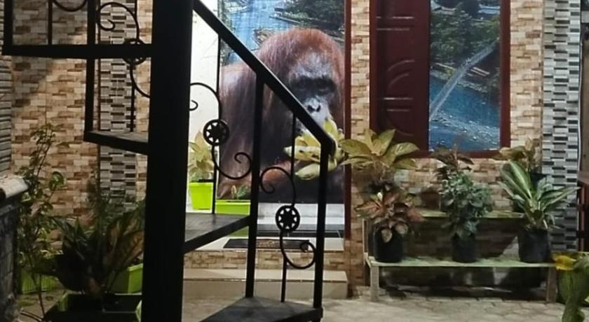 Backpacker Lodge — Berastagi — photo 4