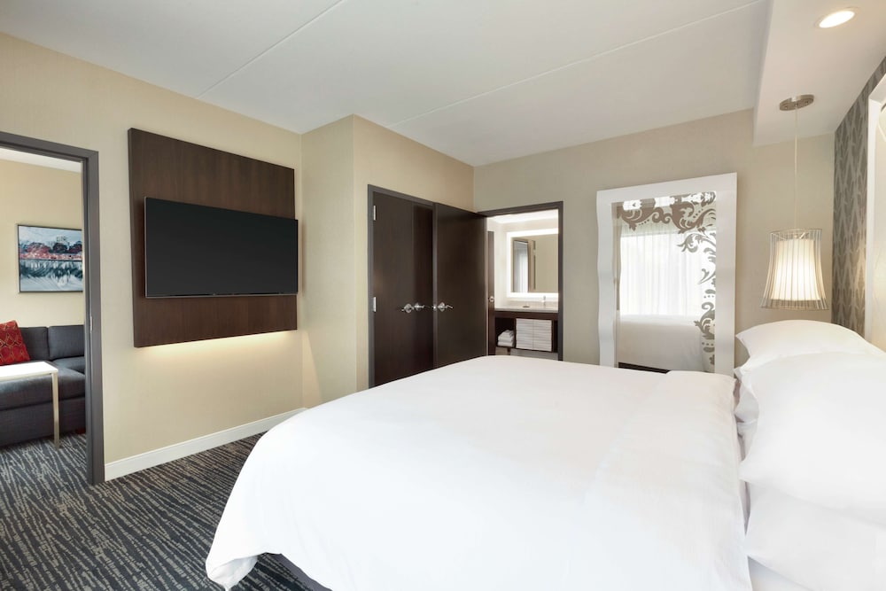 Embassy Suites by Hilton Atlanta NE Gwinnett Sugarloaf - photo 8
