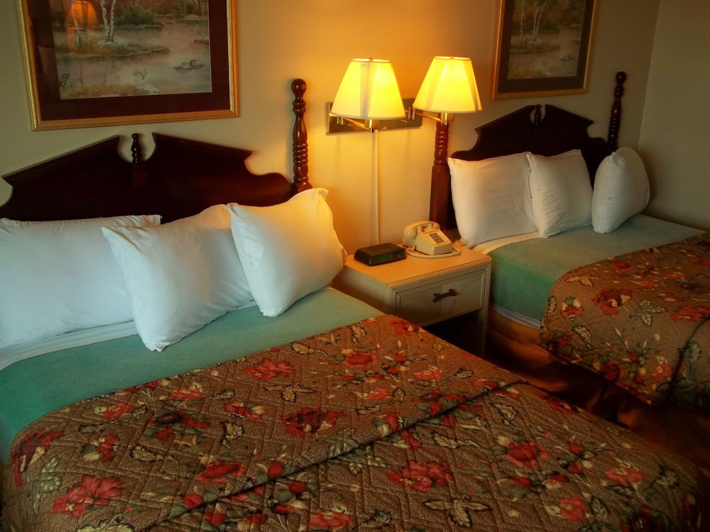 Royal Motel - photo 7