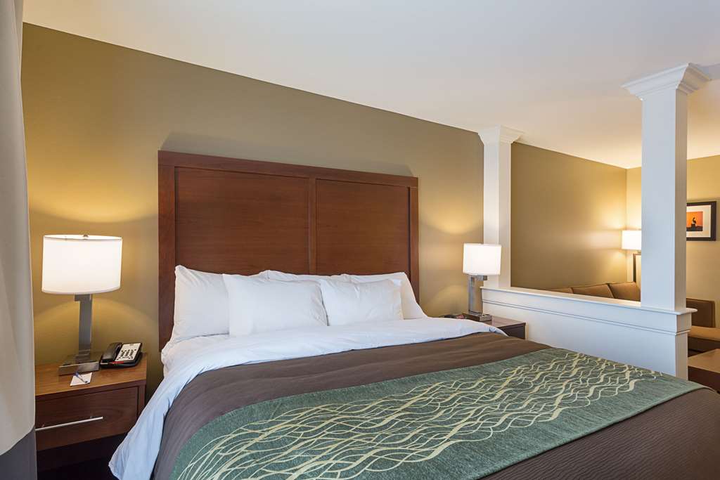 Comfort Inn & Suites Zachary - photo 37