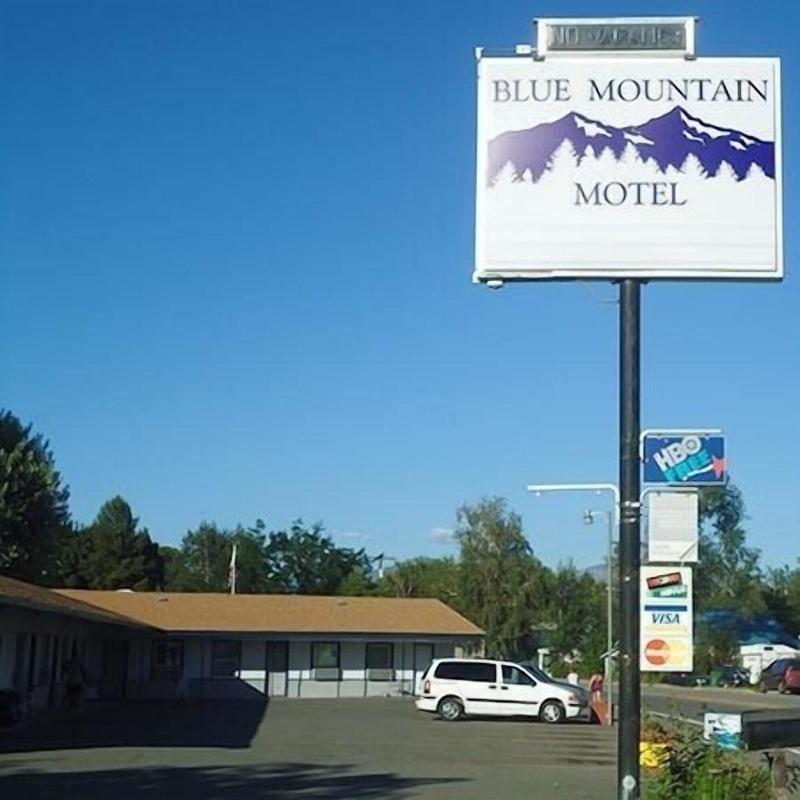 Blue Mountain Motel - photo 9