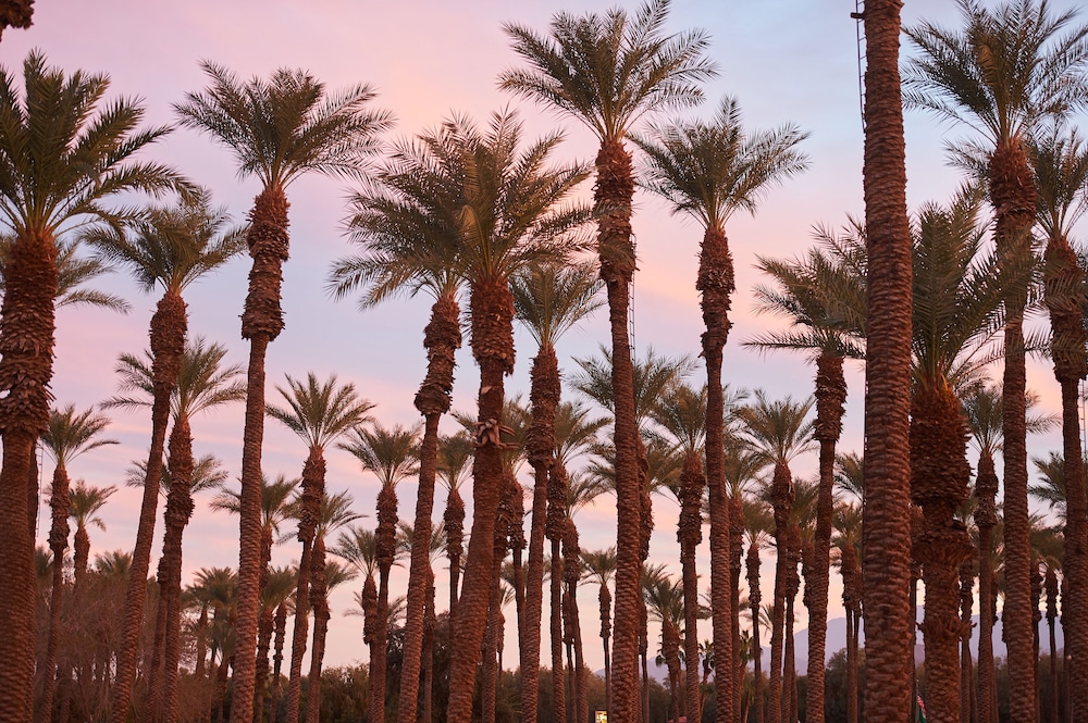 Palm Springs RV Resort - photo 39