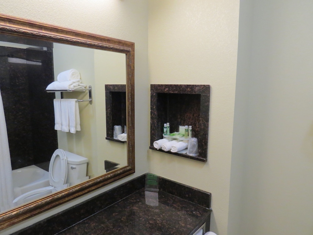 Holiday Inn Express & Suites Pampa by IHG - photo 43