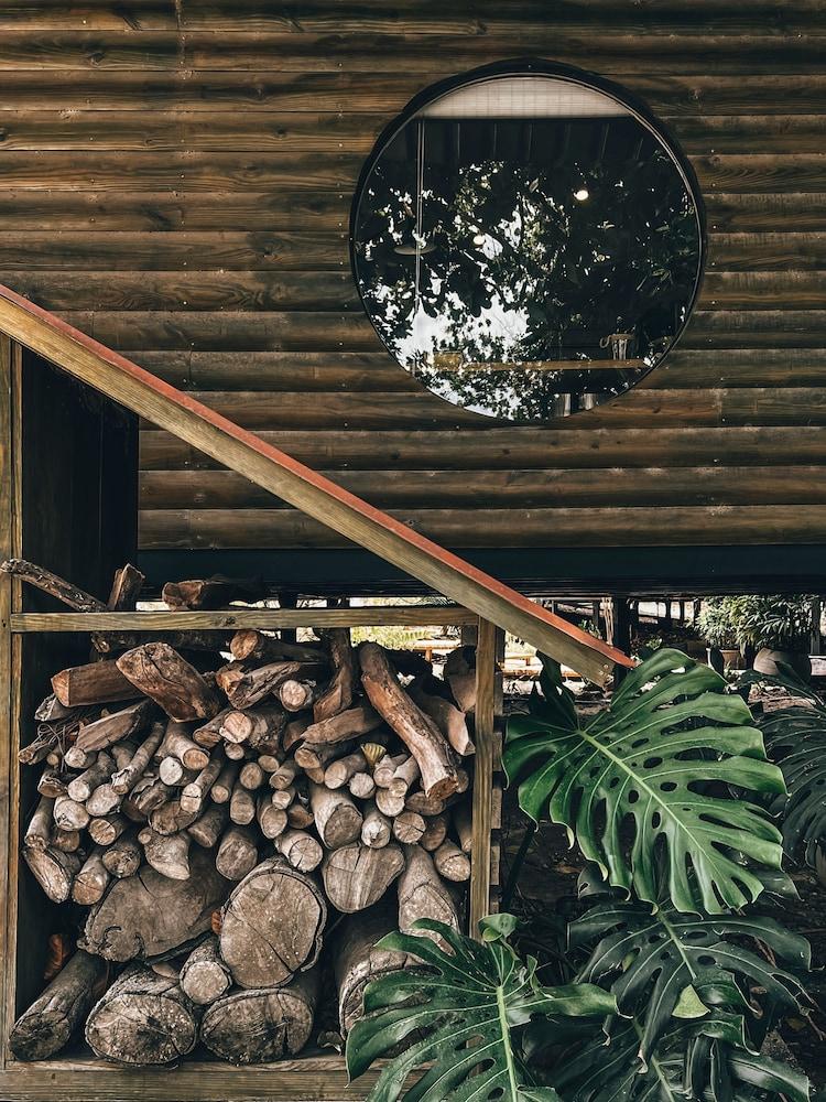 Quinta Pavo Real by Acomodo — San Jose — photo 5