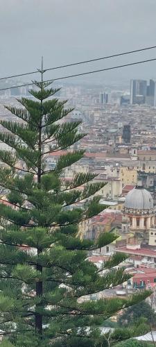 Dimora Sant’Elmo in Naples, Italy