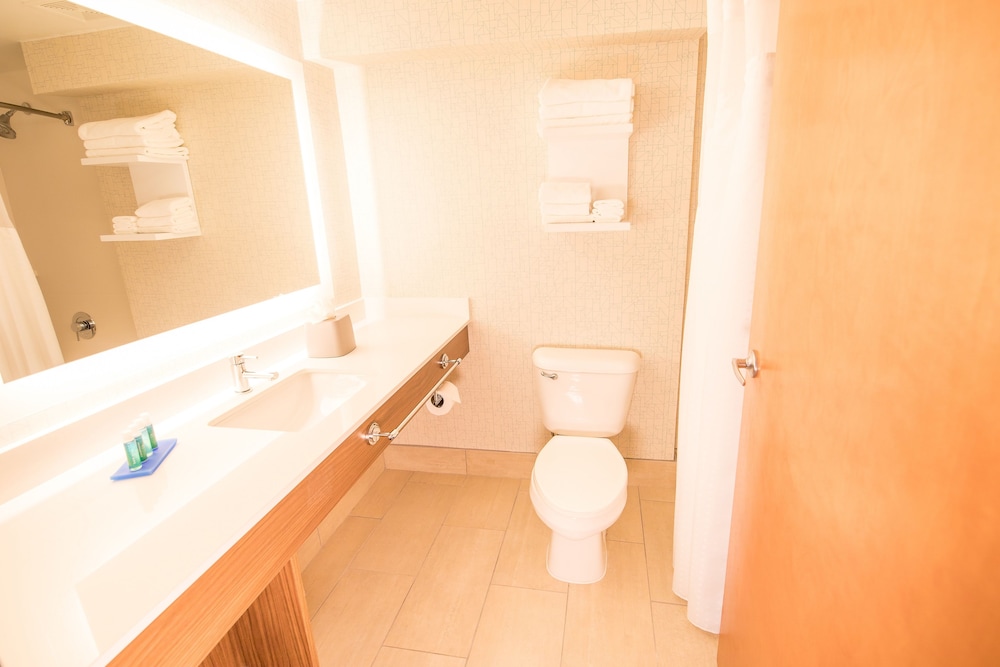 Holiday Inn Express Atlanta Stone Mountain by IHG - photo 17
