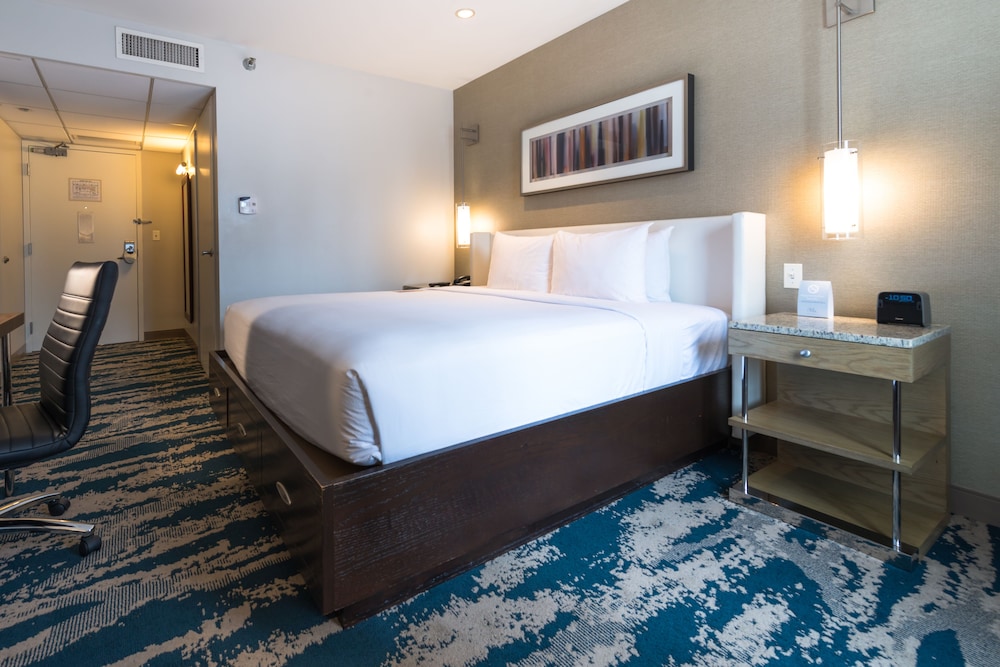 Hotel Felix River North Magnificent Mile - photo 52
