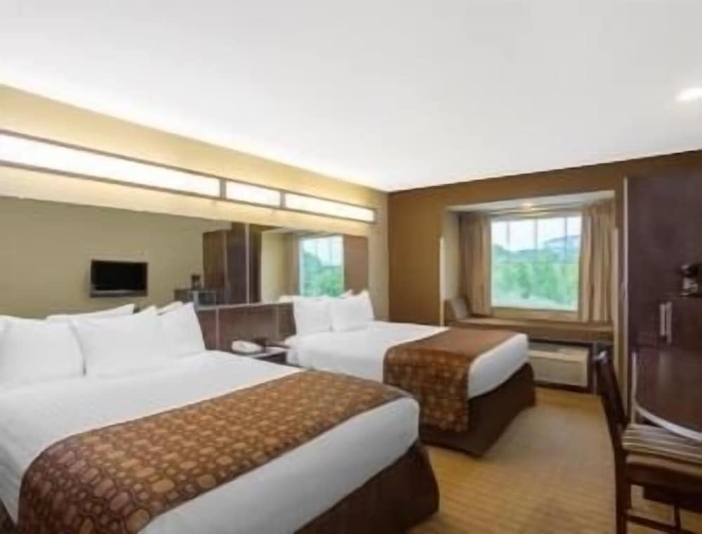 Microtel Inn & Suites by Wyndham Marietta - photo 10
