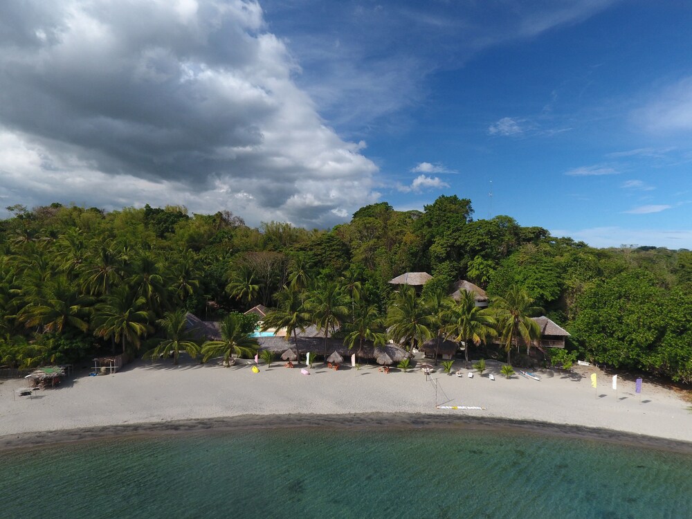 Cove Paradise Beach & Dive Resort — hotel in Siaton