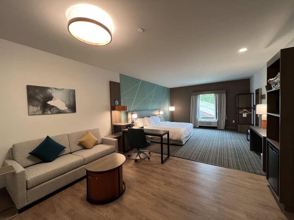 Comfort Suites Gatlinburg Downtown Convention Center - photo 16