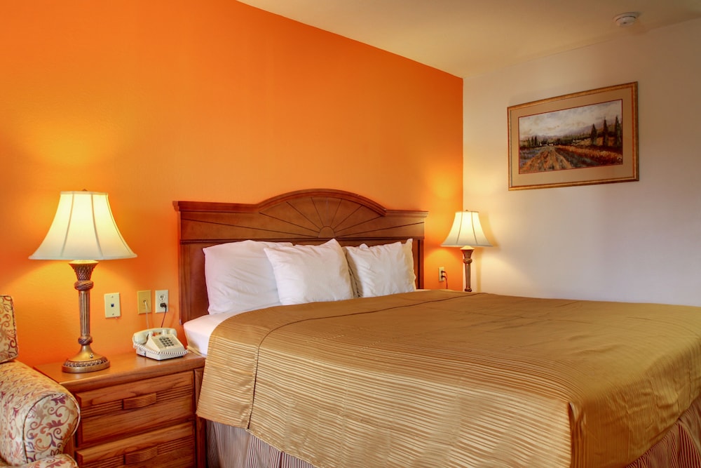 Rodeway Inn Oxford AL - photo 19