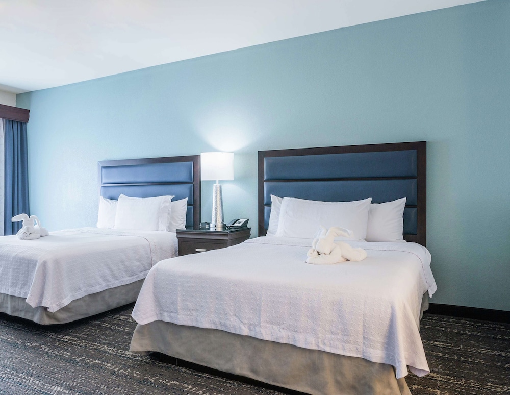 Homewood Suites by Hilton Miami Airport West - photo 12
