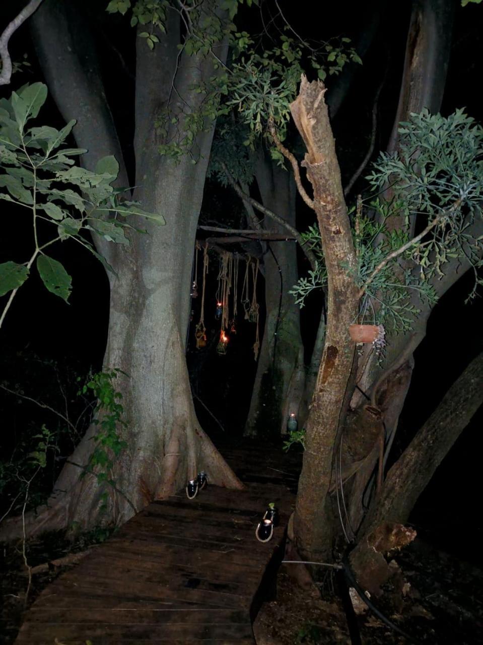 Klein Eden Forest — hotel in Rustenburg