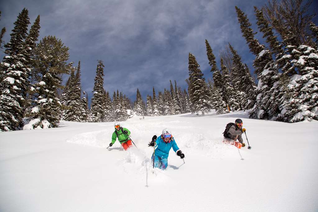Hotel Terra Jackson Hole - photo 28