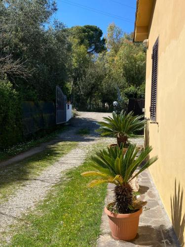 La Villetta — Unknown City — photo 3