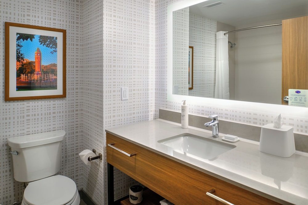 Hampton Inn by Hilton St. Louis Airport - photo 59