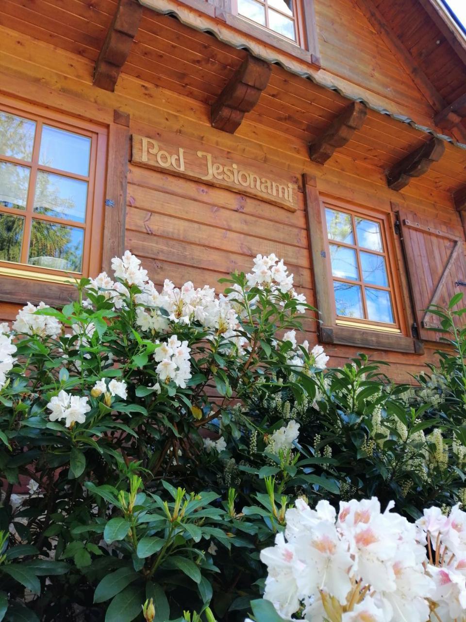 Dom pod Jesionami — hotel in Ochotnica Dolna