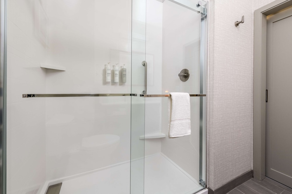 Hampton Inn & Suites Huntington Downtown - photo 15