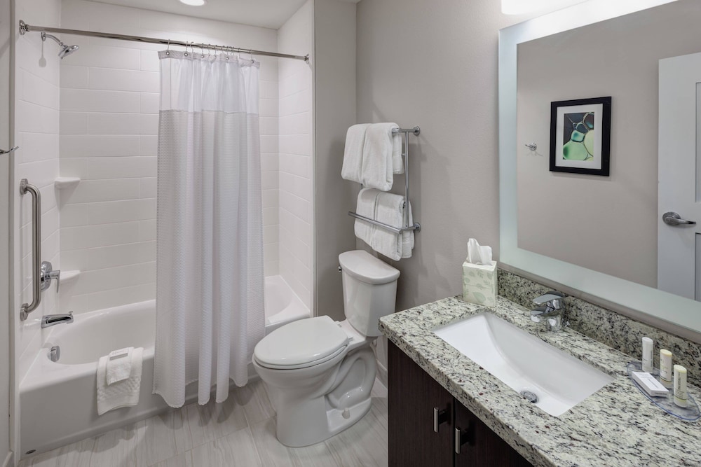 TownePlace Suites by Marriott Orlando at SeaWorld - photo 20