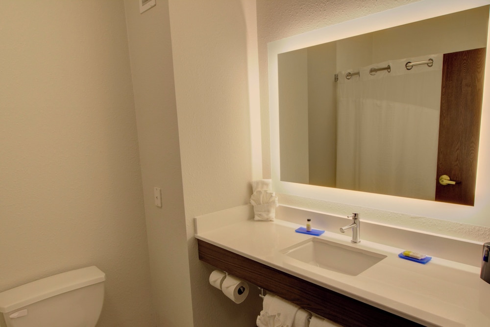 Holiday Inn Express Hotel & Suites Le Mars by IHG - photo 22