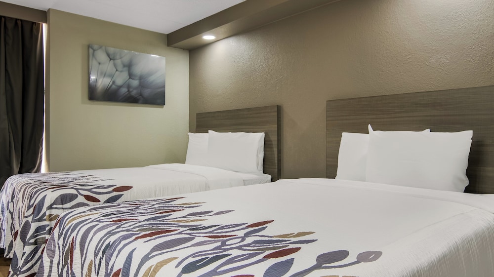 Red Roof Inn Chicago N Aurora Naperville - photo 14