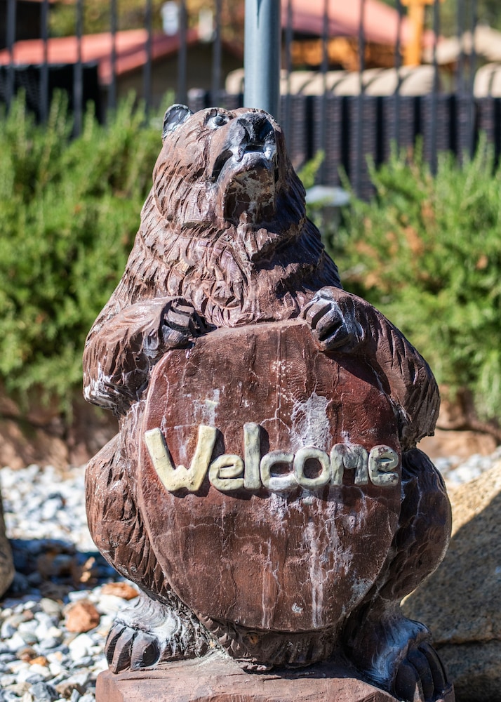 Buck Meadows Lodge - photo 37