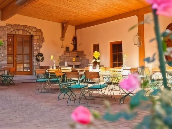 Weingut Ellernhof Landhotel — Alzey — photo 2