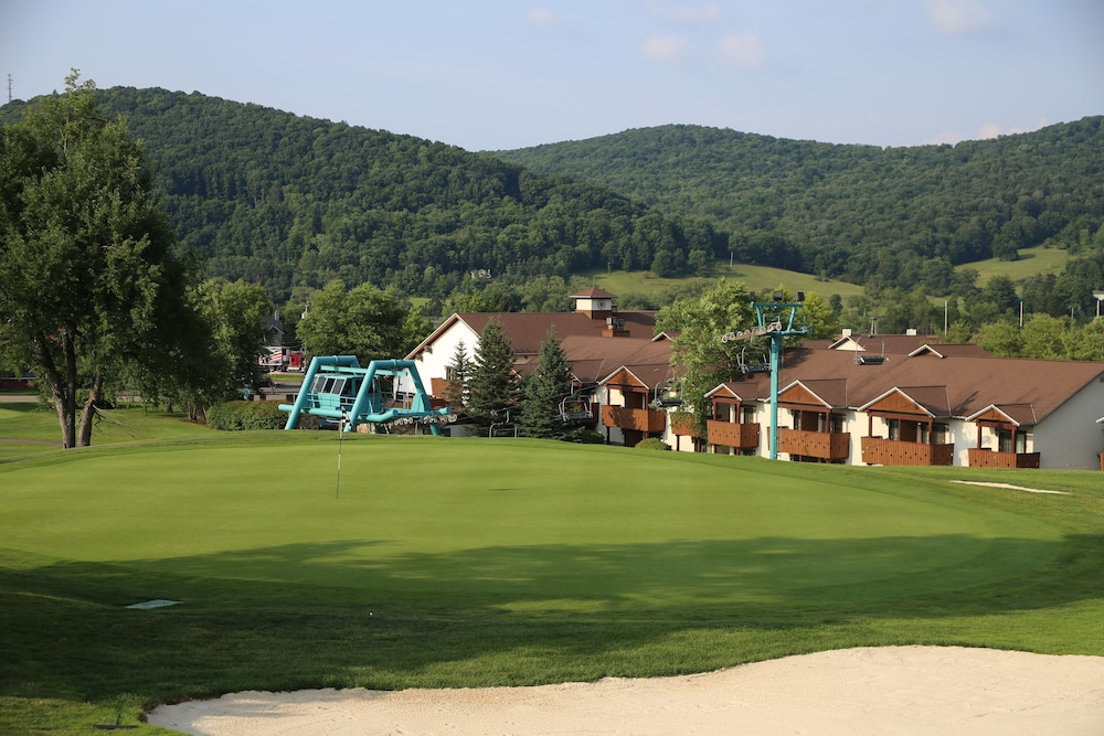 The Inn At Holiday Valley - photo 44