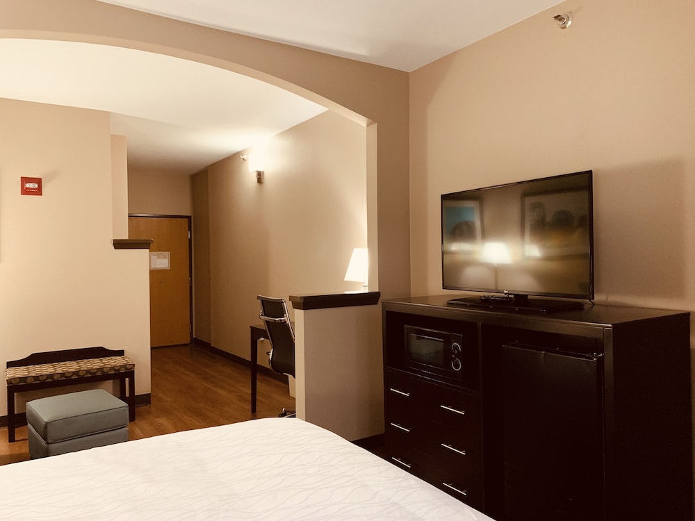 Comfort Suites Plano East Richardson - photo 11
