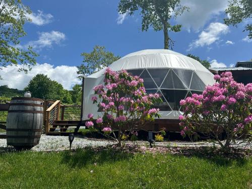 Luxury Glamping Domes Hot Tub Mountain views Winery