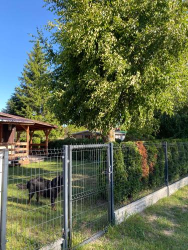 Letnisko na Pierkunowie in Gizycko, Poland