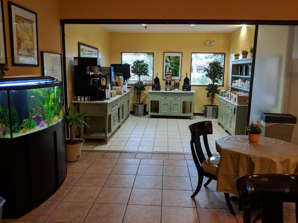 Vista Inn Lake Tarpon - photo 47