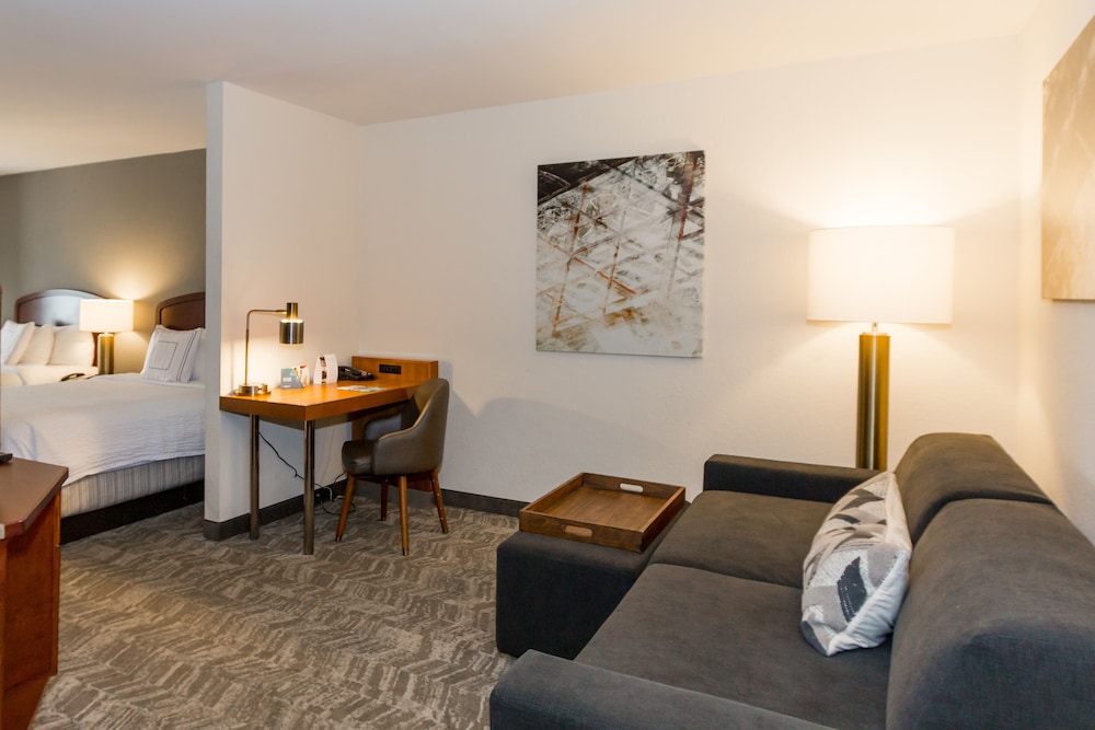 SpringHill Suites by Marriott Tampa Westshore Airport - photo 10