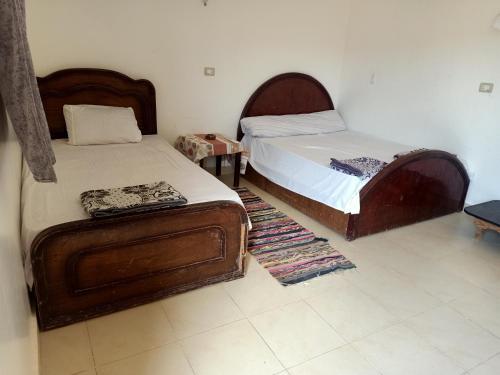 Dreams Beach in Nuwaybi`A, Egypt