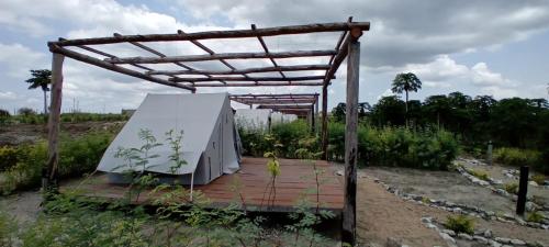 Fazenda Kizonga in Unknown City, Angola