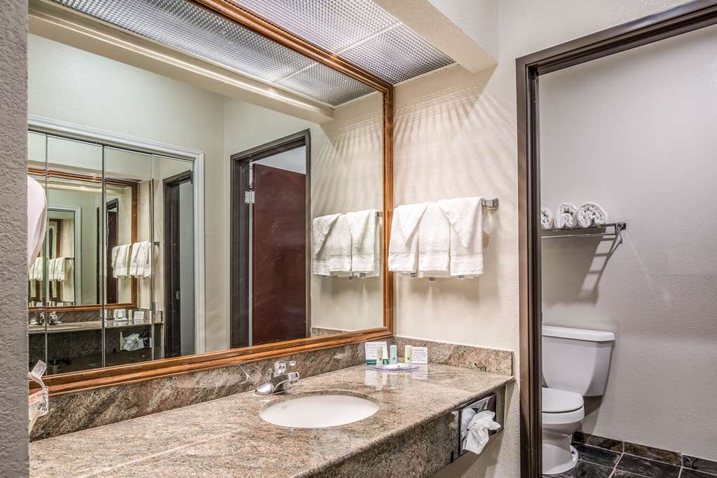 Quality Inn & Suites Seabrook NASA Kemah - photo 6