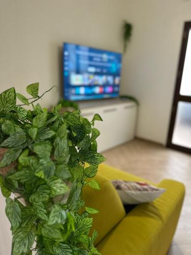Ciuri di Sicilia Apartment — 4-Star Luxury Hotel in Mazara Del Vallo, Italy