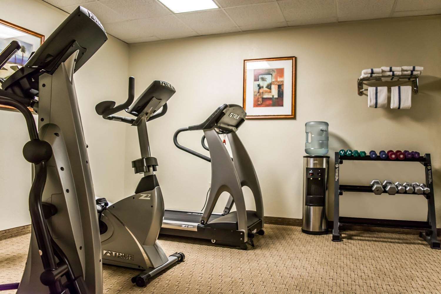 Quality Inn and Suites Golf Resort - photo 12