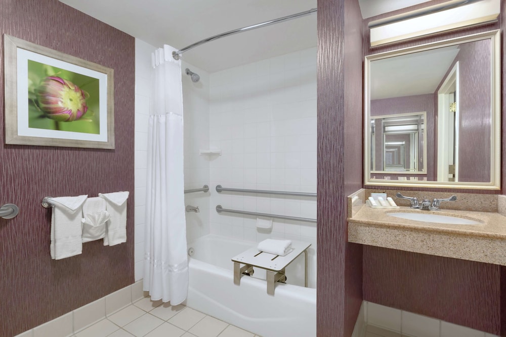 Hilton Garden Inn Springfield MA - photo 10